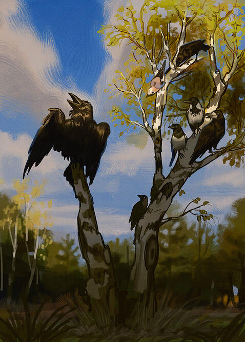 Various european corvids